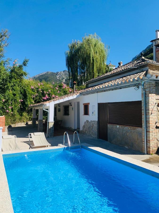 贝纳马奥马 La Fuente De El Nacimiento旅馆 外观 照片