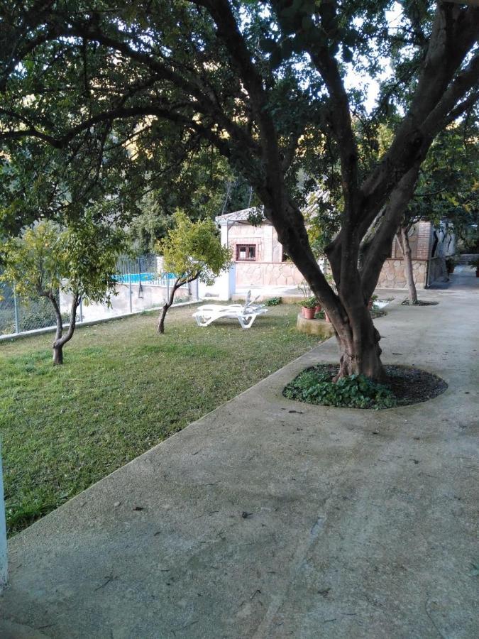 贝纳马奥马 La Fuente De El Nacimiento旅馆 外观 照片