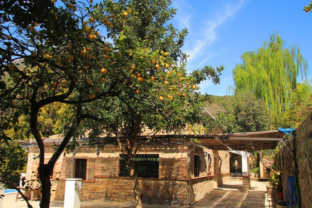 贝纳马奥马 La Fuente De El Nacimiento旅馆 外观 照片